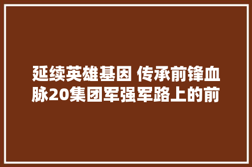 延续英雄基因 传承前锋血脉20集团军强军路上的前锋大年夜型专题文艺晚会侧记