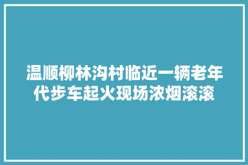 温顺柳林沟村临近一辆老年代步车起火现场浓烟滚滚