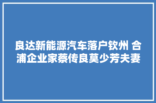 良达新能源汽车落户钦州 合浦企业家蔡传良莫少芳夫妻功弗成没