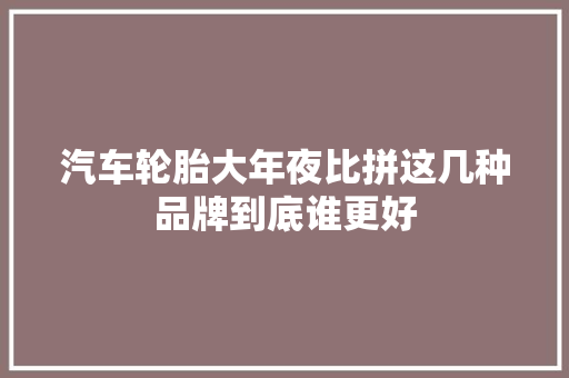汽车轮胎大年夜比拼这几种品牌到底谁更好