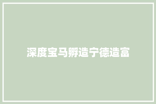 深度宝马孵造宁德造富
