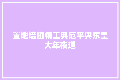 置地培植精工典范平舆东皇大年夜道