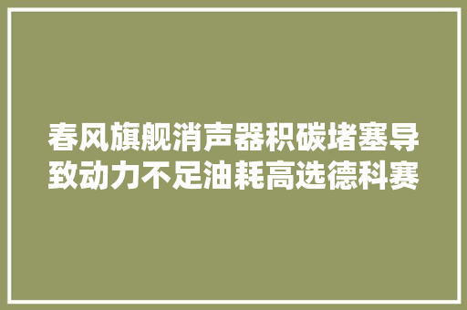 春风旗舰消声器积碳堵塞导致动力不足油耗高选德科赛