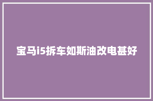 宝马i5拆车如斯油改电甚好
