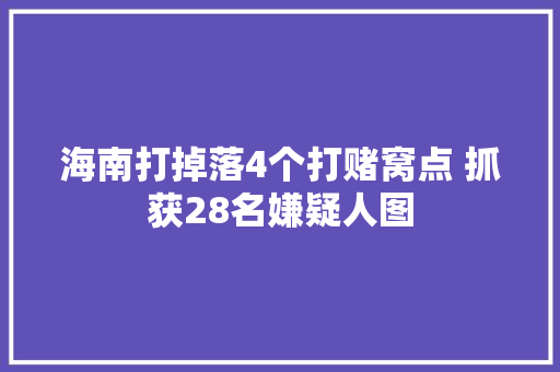 海南打掉落4个打赌窝点 抓获28名嫌疑人图