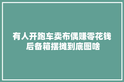 有人开跑车卖布偶赚零花钱 后备箱摆摊到底图啥