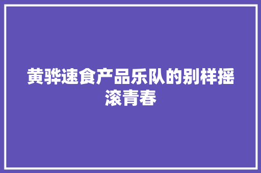 黄骅速食产品乐队的别样摇滚青春
