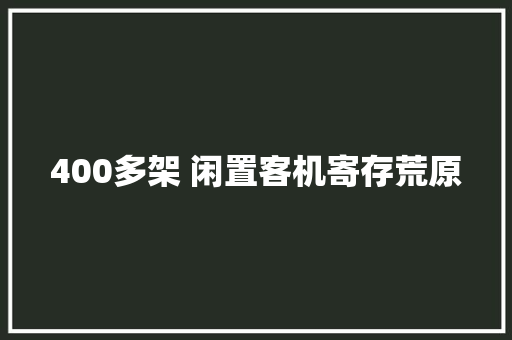 400多架 闲置客机寄存荒原