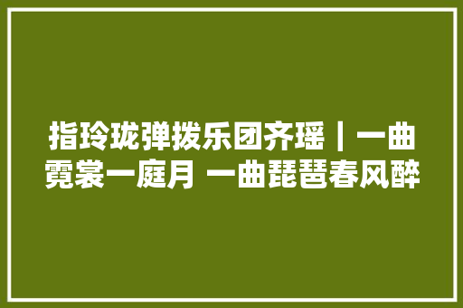 指玲珑弹拨乐团齐瑶｜一曲霓裳一庭月 一曲琵琶春风醉