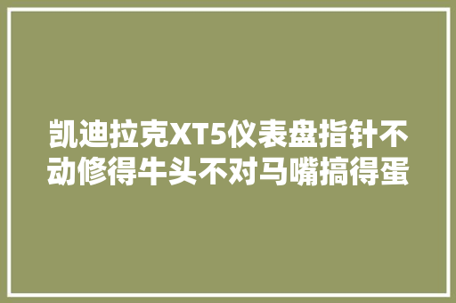 凯迪拉克XT5仪表盘指针不动修得牛头不对马嘴搞得蛋疼