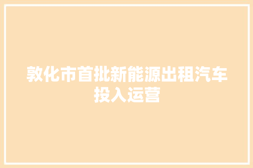 敦化市首批新能源出租汽车投入运营