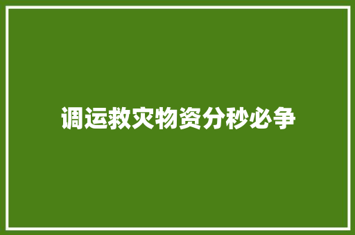 调运救灾物资分秒必争