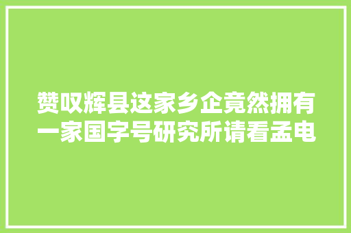 赞叹辉县这家乡企竟然拥有一家国字号研究所请看孟电转型记