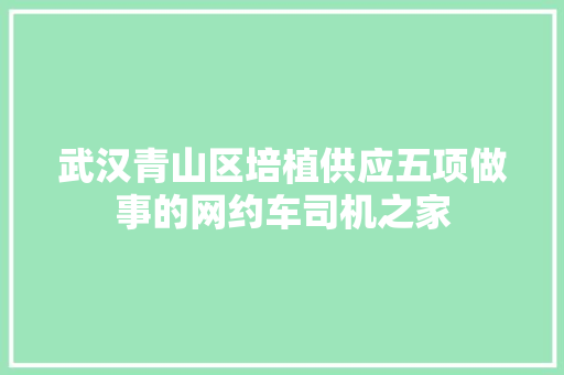 武汉青山区培植供应五项做事的网约车司机之家