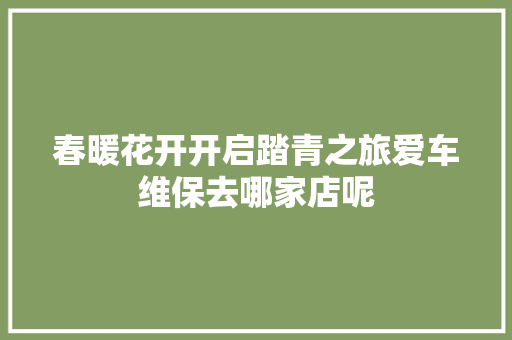 春暖花开开启踏青之旅爱车维保去哪家店呢