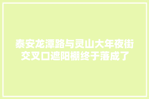 泰安龙潭路与灵山大年夜街交叉口遮阳棚终于落成了