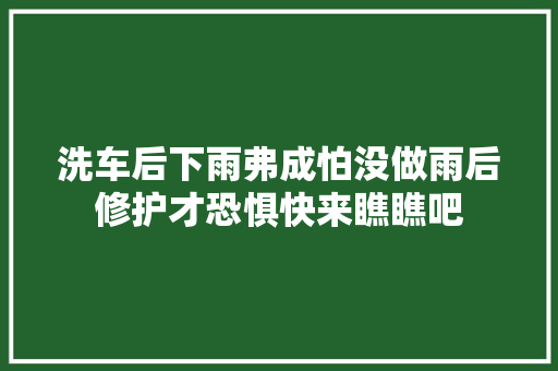 洗车后下雨弗成怕没做雨后修护才恐惧快来瞧瞧吧