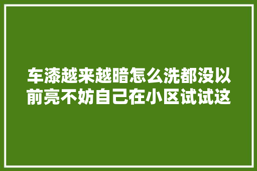 车漆越来越暗怎么洗都没以前亮不妨自己在小区试试这样洗