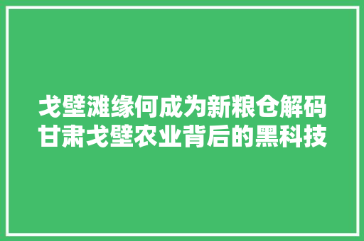 戈壁滩缘何成为新粮仓解码甘肃戈壁农业背后的黑科技