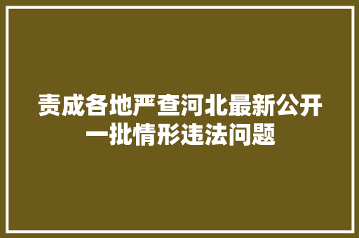 责成各地严查河北最新公开一批情形违法问题
