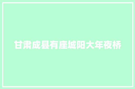 甘肃成县有座城阳大年夜桥