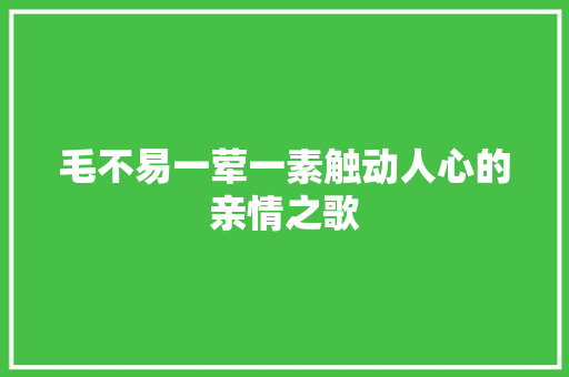 毛不易一荤一素触动人心的亲情之歌