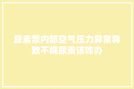 尿素泵内部空气压力异常导致不烧尿素该咋办