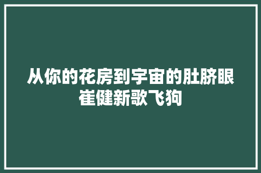 从你的花房到宇宙的肚脐眼崔健新歌飞狗