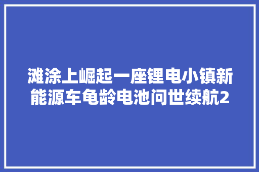 滩涂上崛起一座锂电小镇新能源车龟龄电池问世续航200万公里 汽车知识