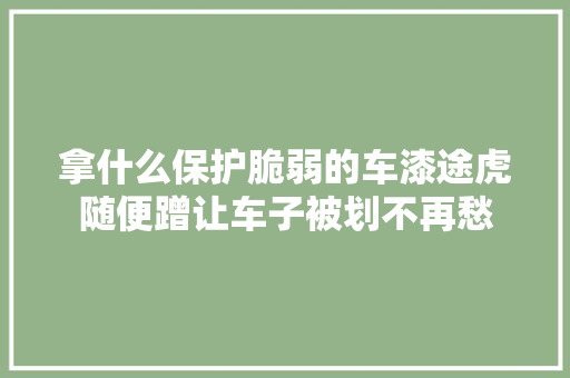 拿什么保护脆弱的车漆途虎随便蹭让车子被划不再愁