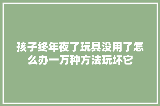 孩子终年夜了玩具没用了怎么办一万种方法玩坏它