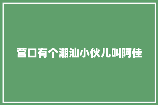 营口有个潮汕小伙儿叫阿佳