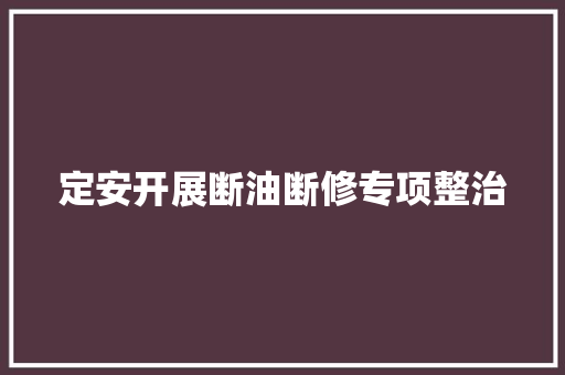 定安开展断油断修专项整治