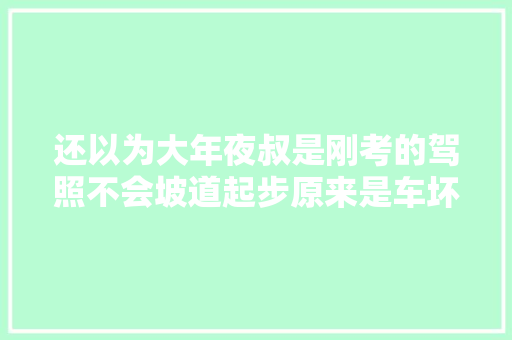 还以为大年夜叔是刚考的驾照不会坡道起步原来是车坏了。