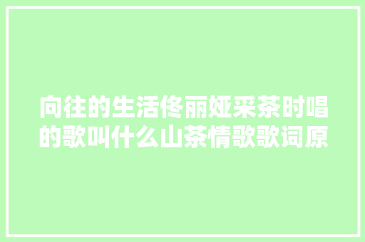 向往的生活佟丽娅采茶时唱的歌叫什么山茶情歌歌词原唱是谁