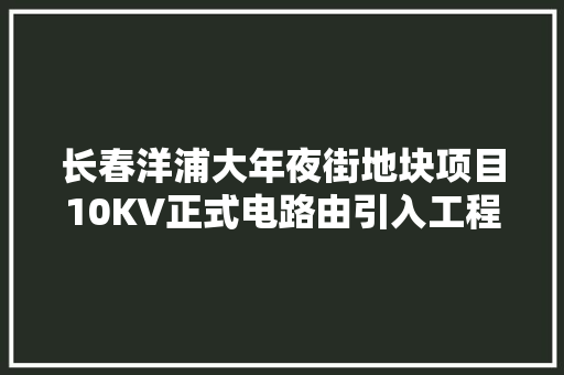 长春洋浦大年夜街地块项目10KV正式电路由引入工程勘测招标通知书记