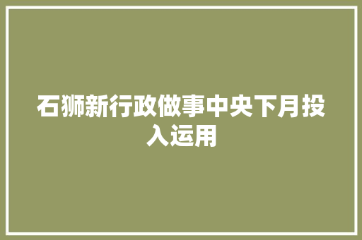 石狮新行政做事中央下月投入运用