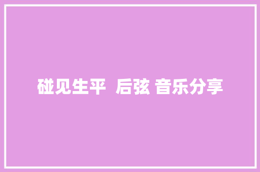 碰见生平  后弦 音乐分享