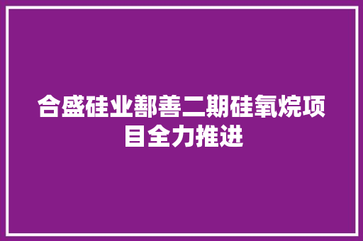 合盛硅业鄯善二期硅氧烷项目全力推进