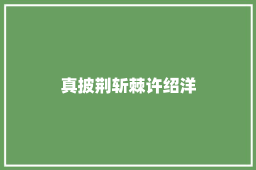 真披荆斩棘许绍洋