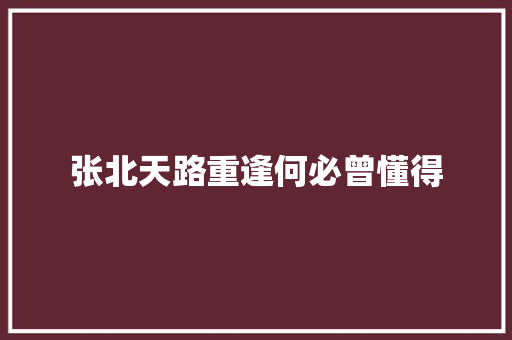张北天路重逢何必曾懂得