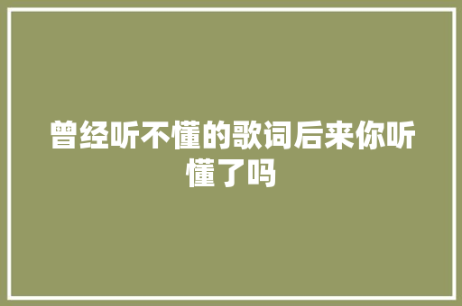 曾经听不懂的歌词后来你听懂了吗