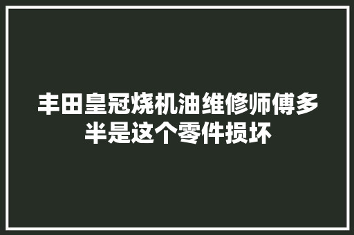 丰田皇冠烧机油维修师傅多半是这个零件损坏