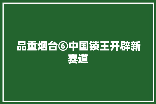 品重烟台⑥中国锁王开辟新赛道