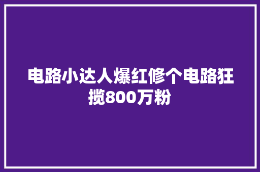 电路小达人爆红修个电路狂揽800万粉
