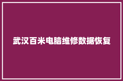武汉百米电脑维修数据恢复