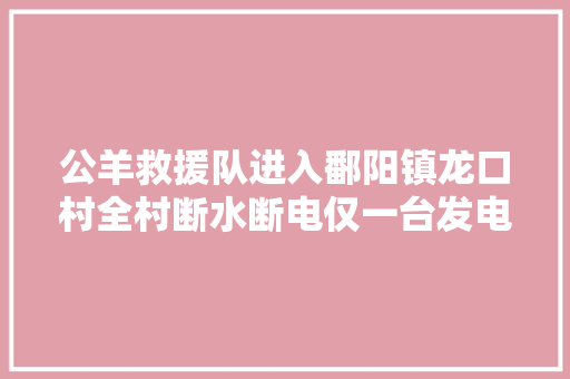 公羊救援队进入鄱阳镇龙口村全村断水断电仅一台发电机供应能源