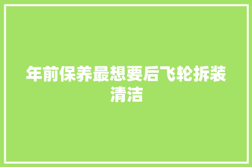 年前保养最想要后飞轮拆装清洁