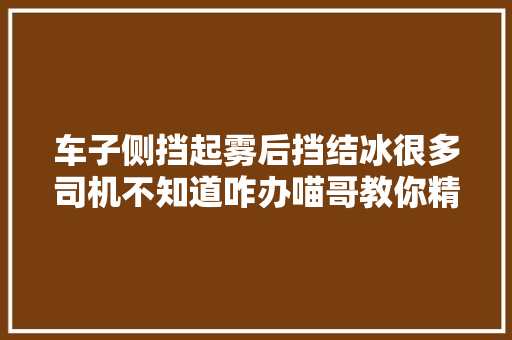 车子侧挡起雾后挡结冰很多司机不知道咋办喵哥教你精确处理