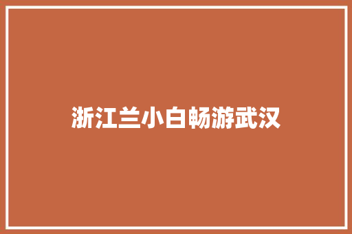 浙江兰小白畅游武汉